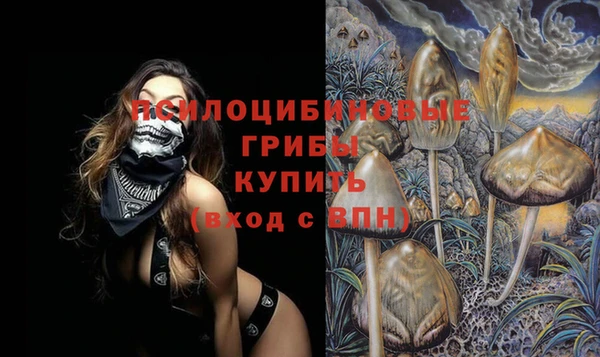 дурь Алексин