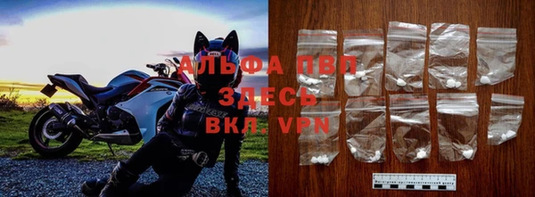 сатива Алзамай