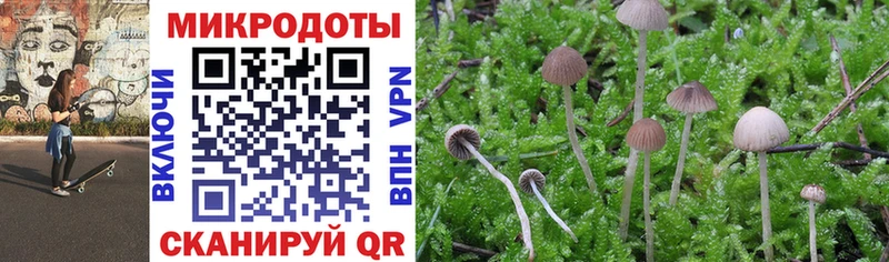 Псилоцибиновые грибы Psilocybe цены Первоуральск