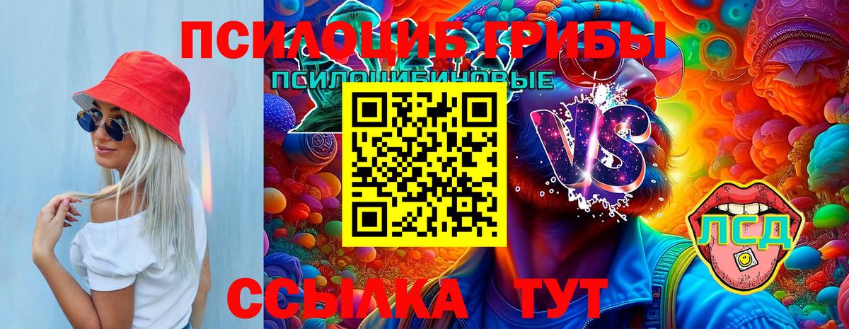 Псилоцибиновые грибы Psilocybine cubensis Первоуральск